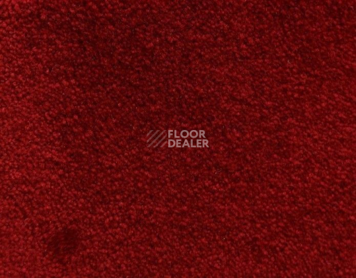 Ковролин Radici Lord Rosso 129A фото 1 | FLOORDEALER